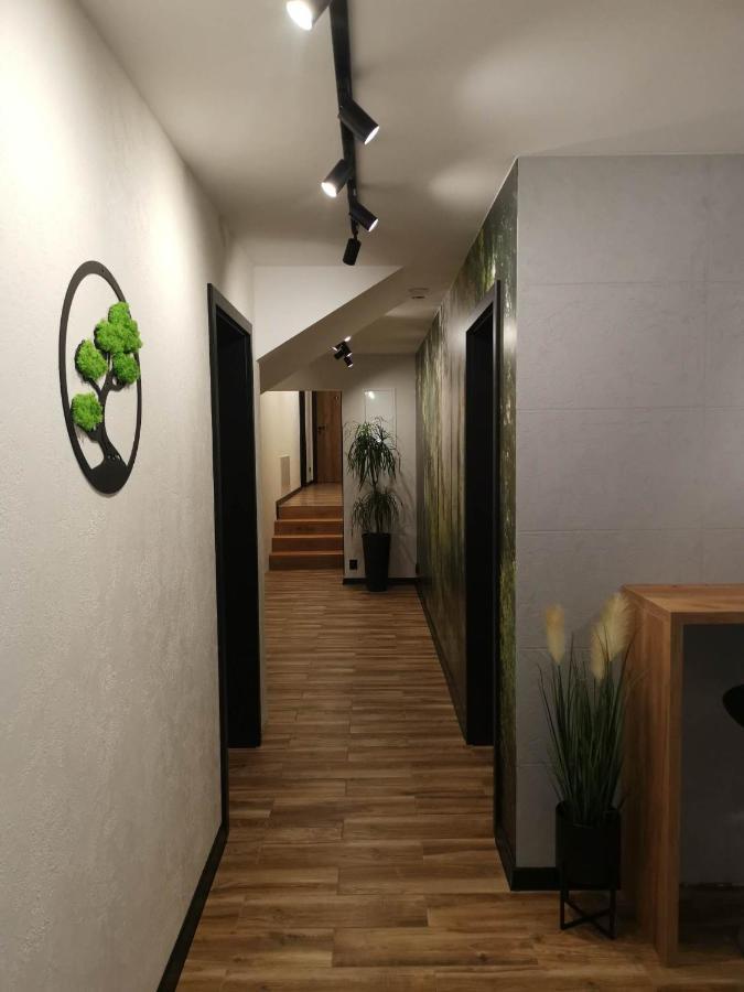 Apartament Skorusinka W Poblizu Chocholowskich Term Witów Esterno foto