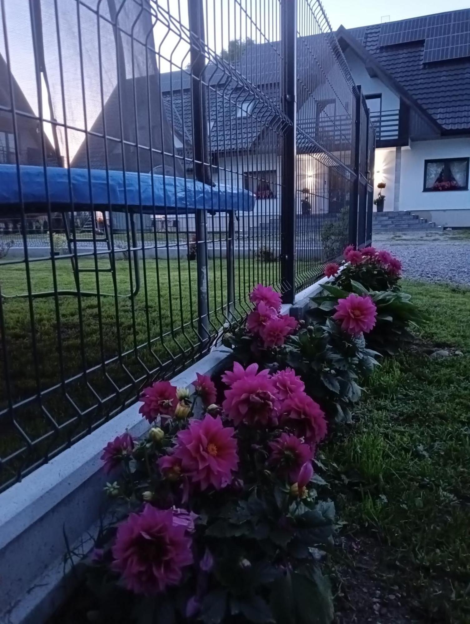Apartament Skorusinka W Poblizu Chocholowskich Term Witów Esterno foto